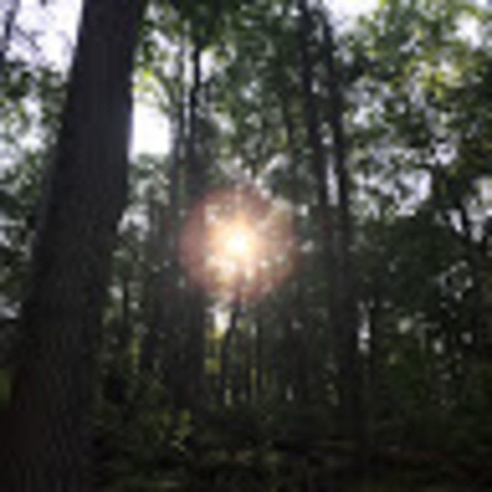 Meet your Posher, Salahuddin